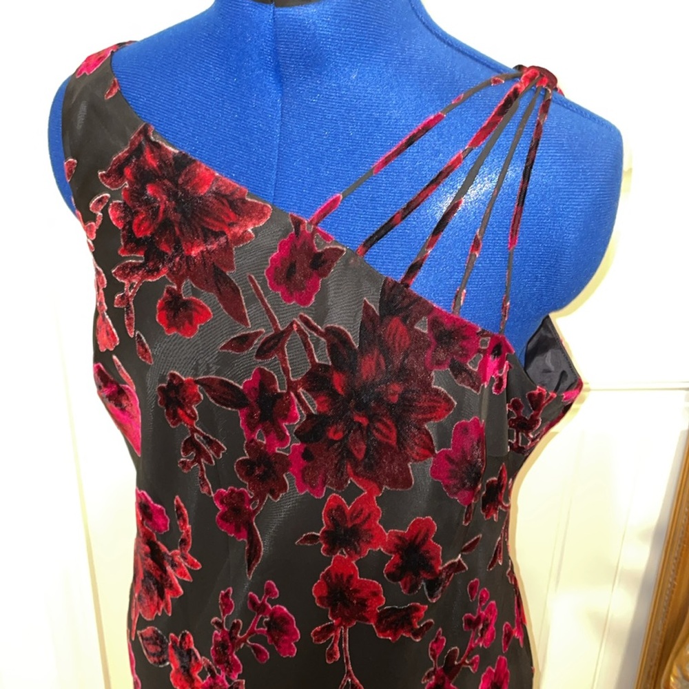 EVAN-PICONE dress 12
NWOT 
Shifon with velour flowers on it